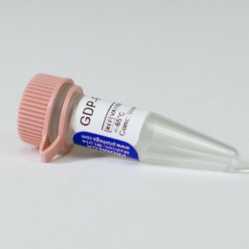 Ultra Pure GDP-Fucose, 50mM, 5 x 50