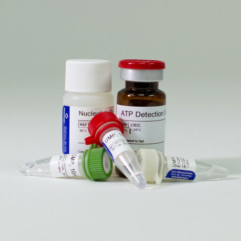 UMP/CMP-Glo Glycosyltrans Assay 200 200tests 200 tests