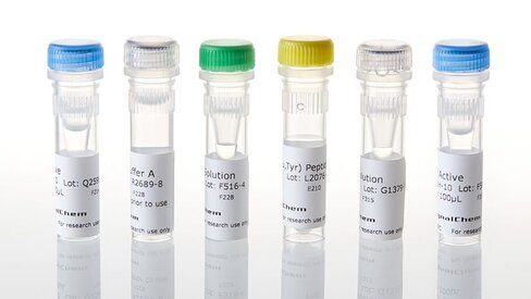ADP-Glo +EGFR (D770-N771insNPG) KES 1 each