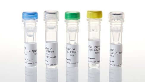 ADP-Glo Assay+YES1 (T348I) KES 1 each