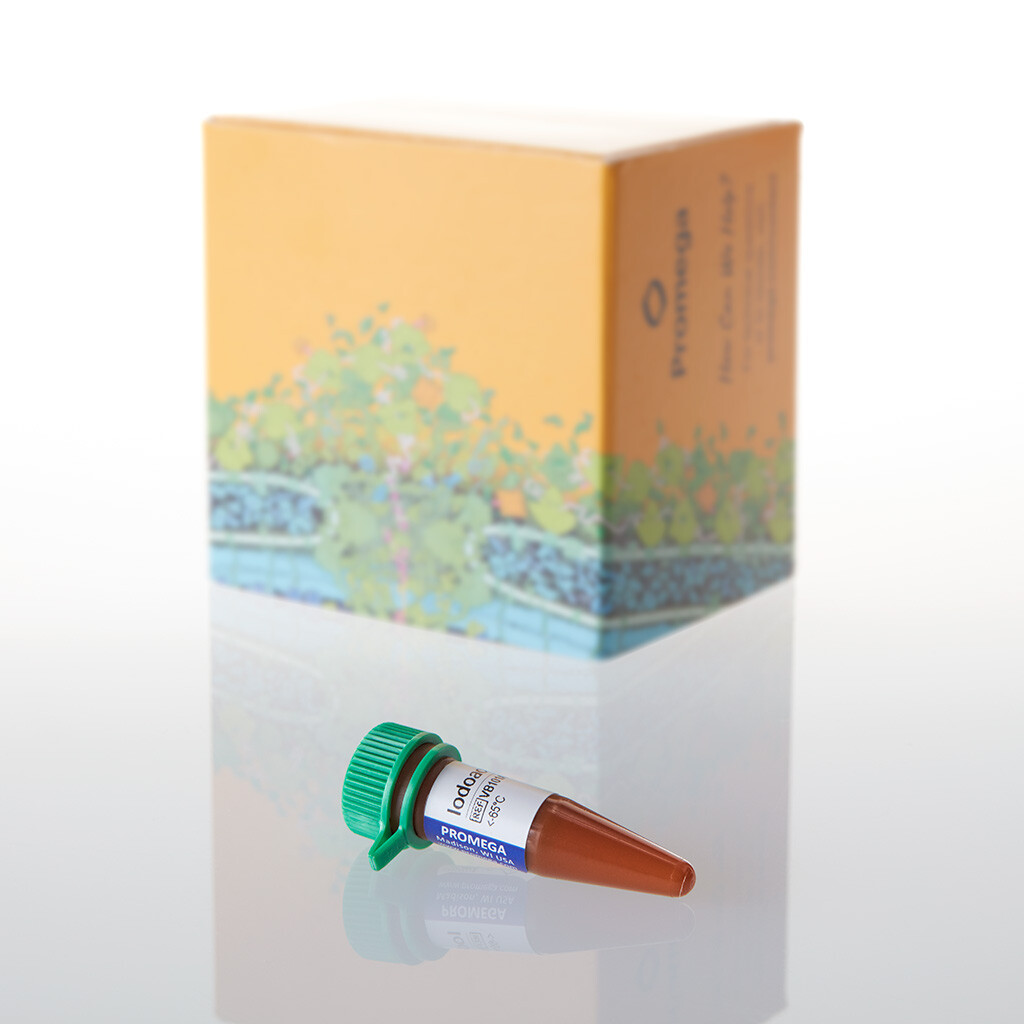 Iodoacetamide 15mg 15mg 15 mg