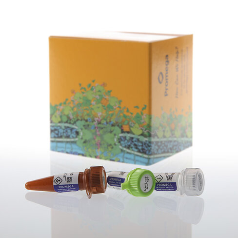 NanoLuc Labeling Kit 1 each