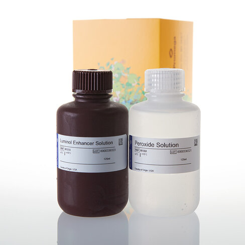 ECL Western Blotting Substrate 250 ml