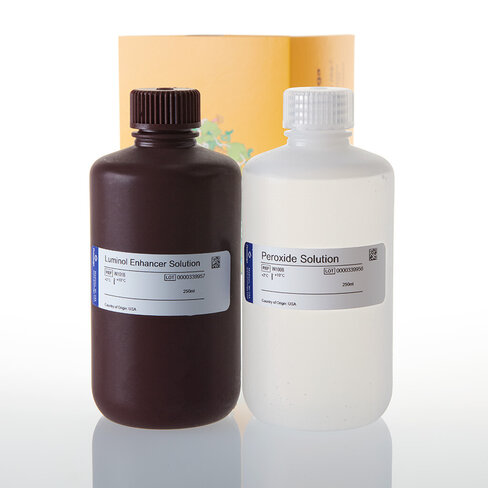ECL Western Blotting Substrate 500 ml
