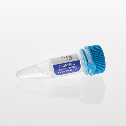 Lumit Anti-Mouse Ab-LgBiT 300 µl