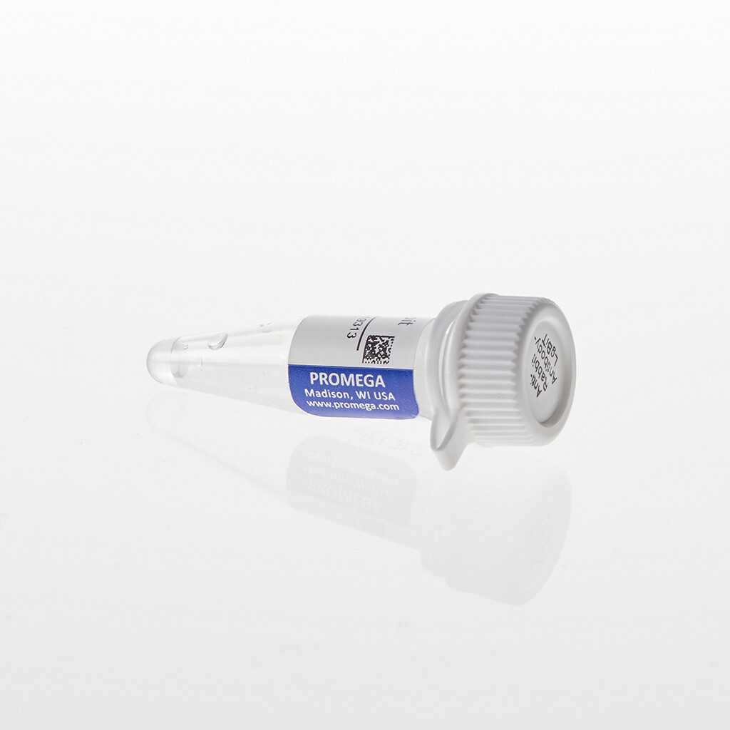 Lumit Anti-Rabbit Ab-LgBiT 300 µl