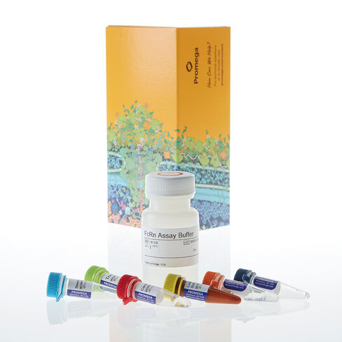 Lumit FcRn Binding Immunoassay 10X 1000 tests