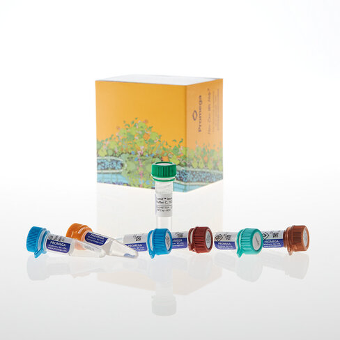 Lumit Immunoassay Cellular System-Set 1 100tests 100 tests