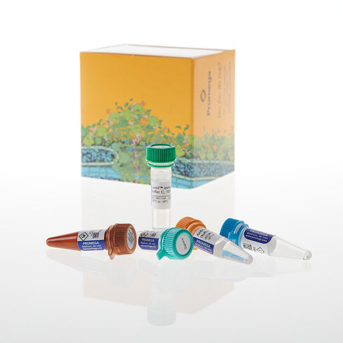 Lumit Immunoassay Lysis and Detection Kit 100 tests