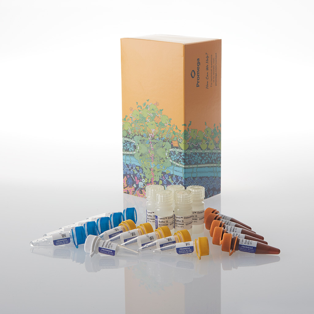 Lumit IL-17A (Human) Immunoassay