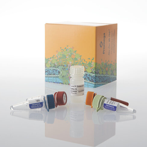 Lumit IFN-beta (Human) Immunoassay