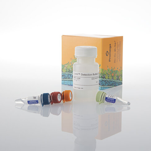 Lumit IFN-beta (Human) Immunoassay