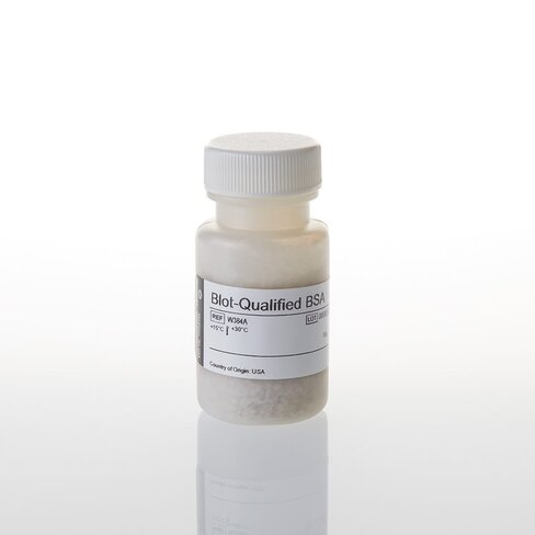 Blot qualified bsa 10 g