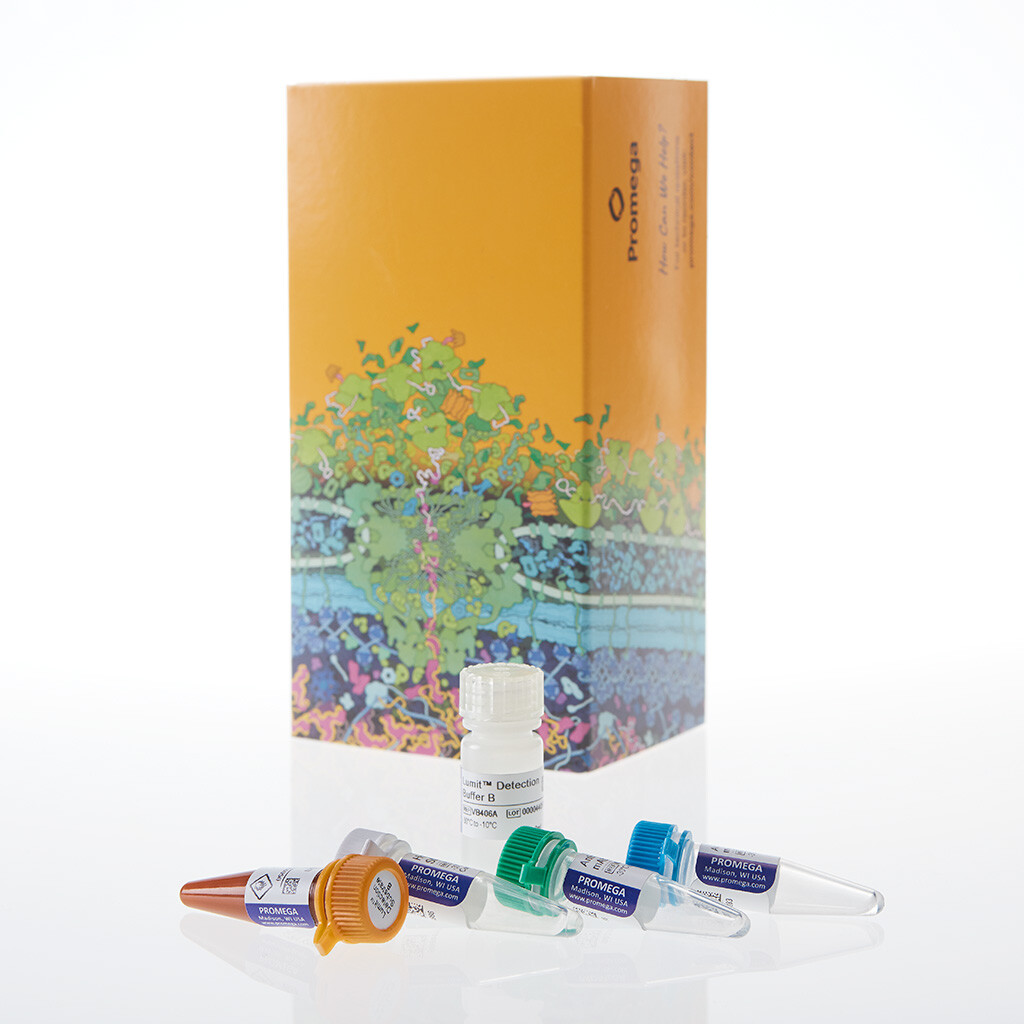 Lumit Human IL-1beta Immunoassay 100 tests