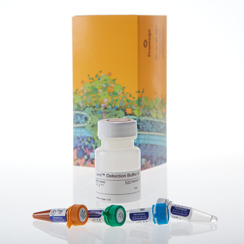 Lumit Human IL-1beta Immunoassay 1000 tests