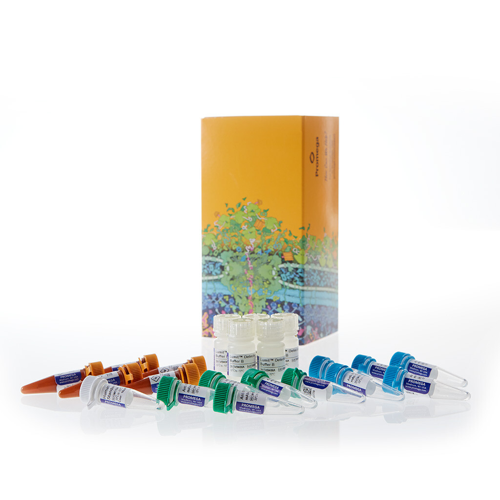 Lumit Human IL-1beta Immunoassay 5 x 100 tests