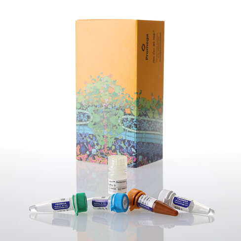 Lumit IL-2 (Human) Immunoassay 100 assays