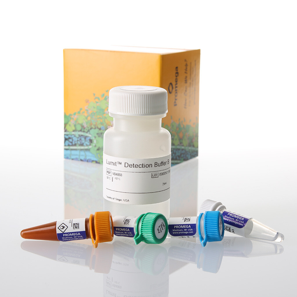 Lumit IL-2 (Human) Immunoassay 1000 assays