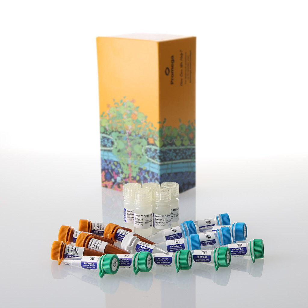 Lumit IL-2 (Human) Immunoassay 5 × 100 assays