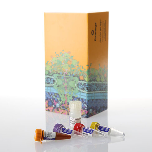 Lumit IL-6 (Human) Immunoassay 100 assays