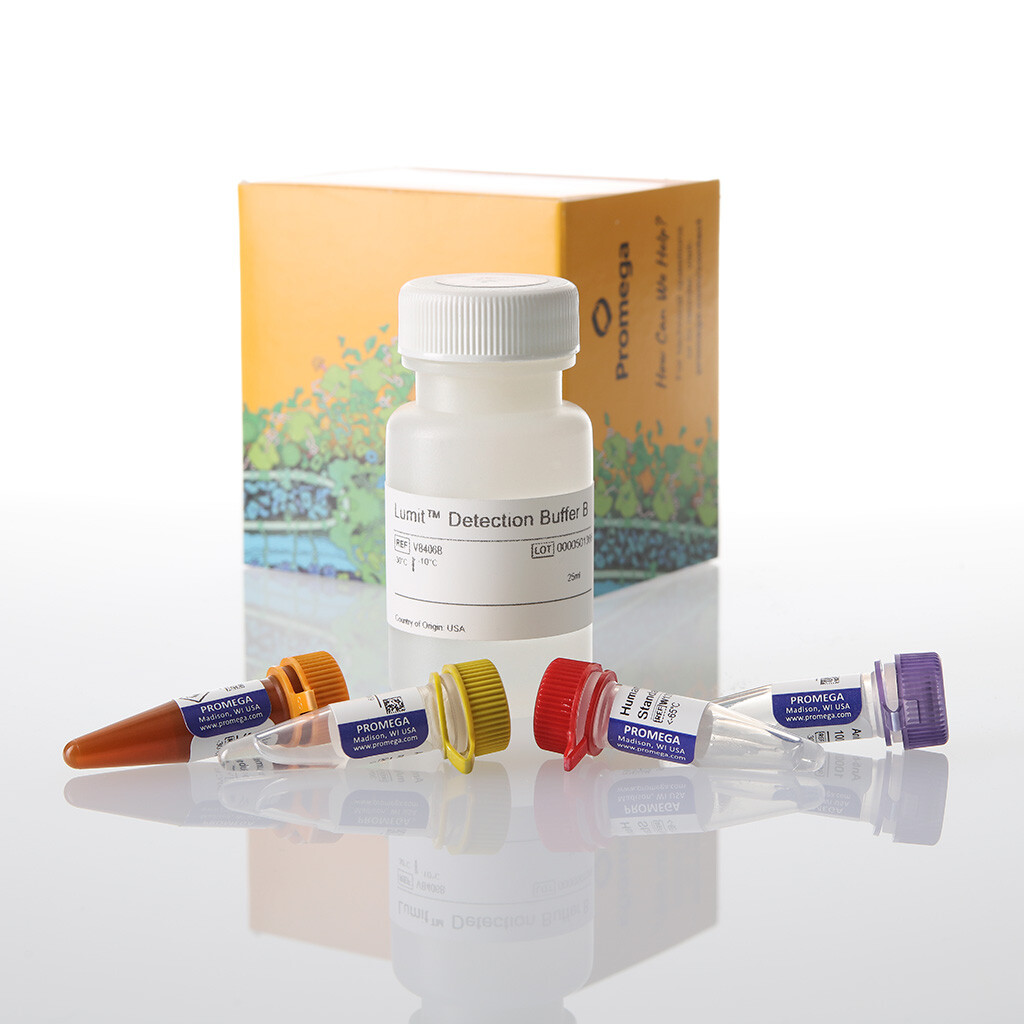 Lumit IL-6 (Human) Immunoassay 1000 assays