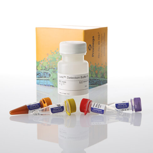 Lumit IL-6 (Human) Immunoassay 1000 assays