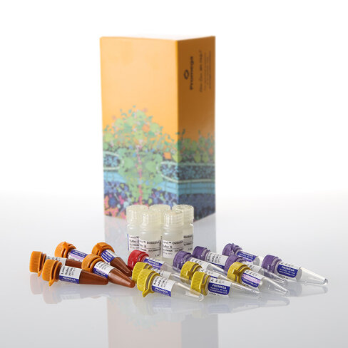 Lumit IL-6 (Human) Immunoassay 5 × 100 assays