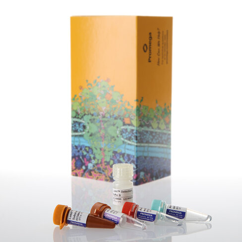 Lumit IFN- (Human) Immunoassay 100 assays
