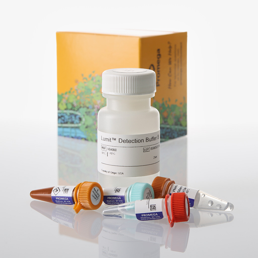 Lumit IFN- (Human) Immunoassay 1000 assays