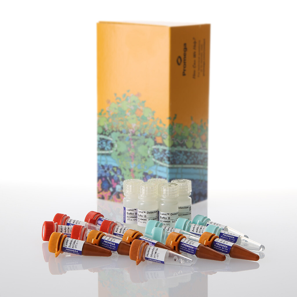 Lumit IFN- (Human) Immunoassay 5 × 100 assays