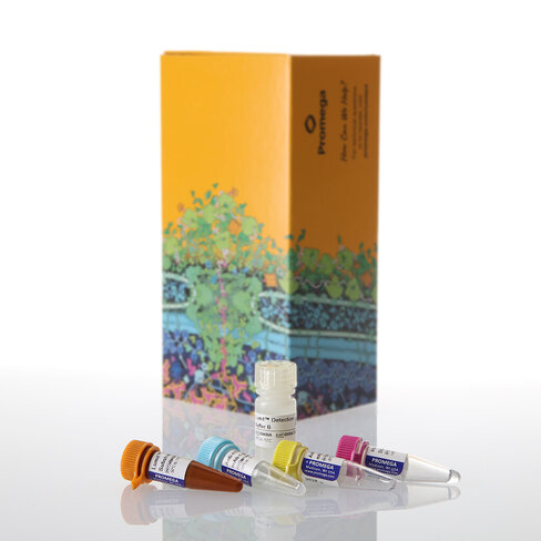 Lumit TNF- (Human) Immunoassay 100 assays