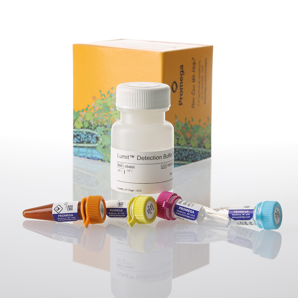 Lumit TNF- (Human) Immunoassay 1000 assays