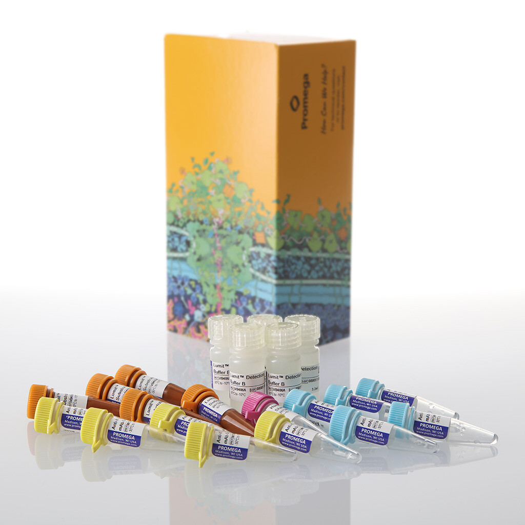 Lumit TNF- (Human) Immunoassay 5 × 100 assays