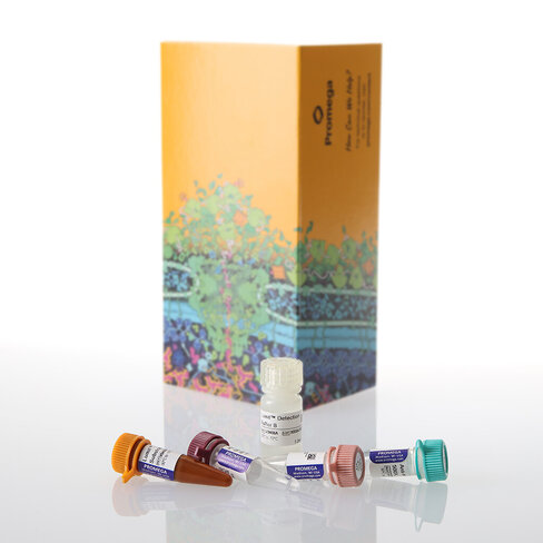 Lumit IL-4 (Human) Immunoassay 100 assays