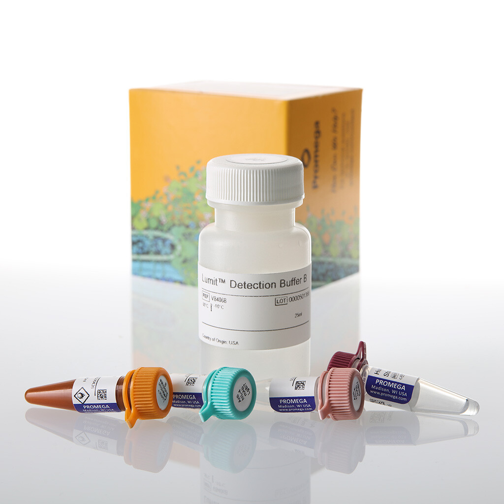 Lumit IL-4 (Human) Immunoassay 1000 assays