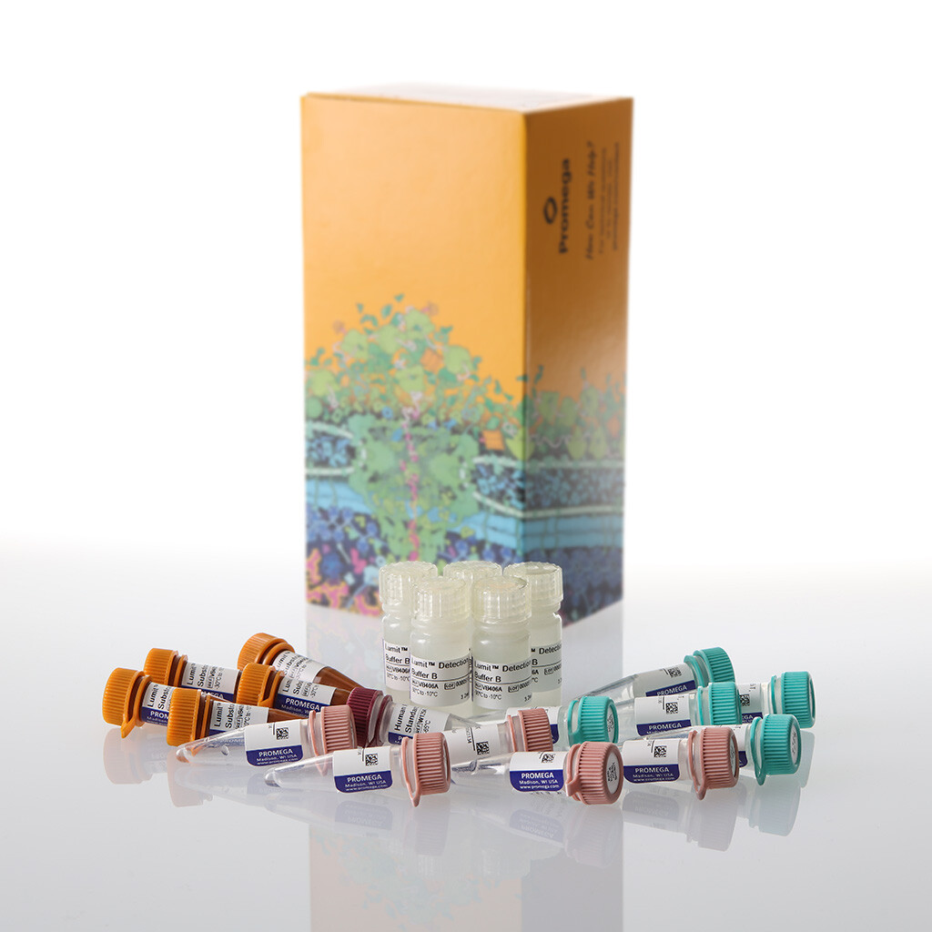 Lumit IL-4 (Human) Immunoassay 5x100 assays