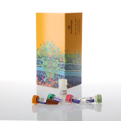 Lumit IL-10 (Human) Immunoassay 100 assays