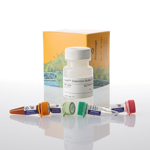 Lumit IL-10 (Human) Immunoassay 1000 assays