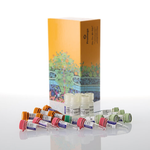 Lumit IL-10 (Human) Immunoassay 5 × 100 assays