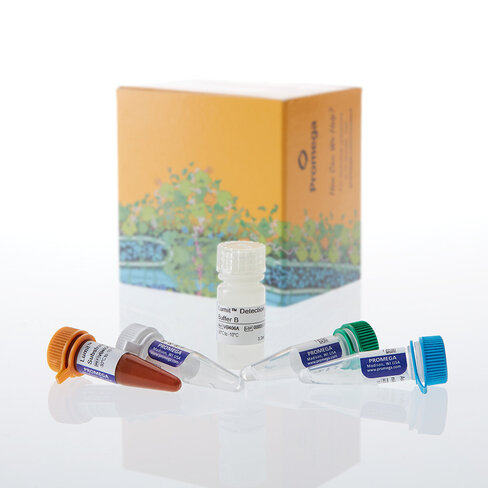 Lumit HMGB1 (Human/Mouse) Immunoassay 100 assays