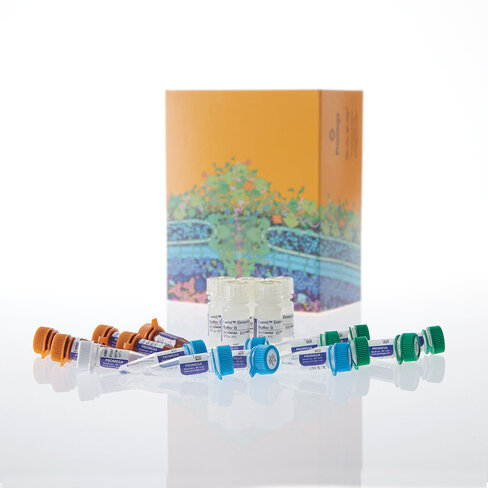 Lumit HMGB1 (Human/Mouse) Immunoassay 5x100 assays