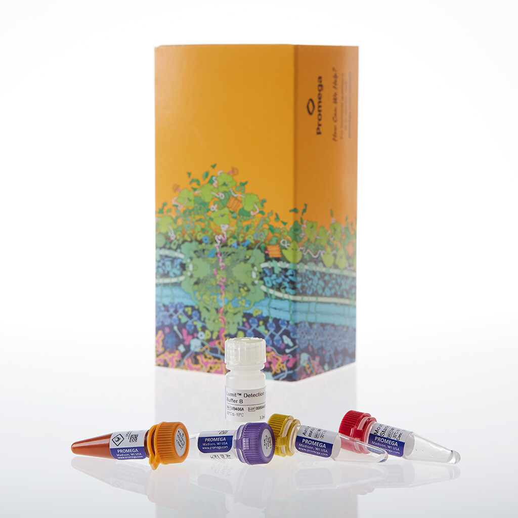 Lumit Mouse IL-1beta Immunoassay 100 tests