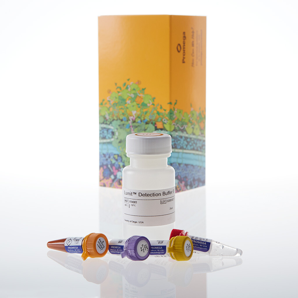 Lumit Mouse IL-1beta Immunoassay 1000 tests