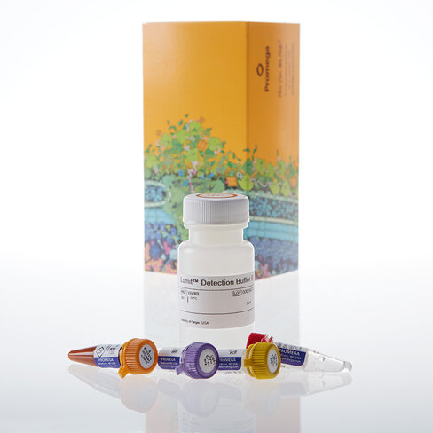 Lumit Mouse IL-1beta Immunoassay 1000 tests