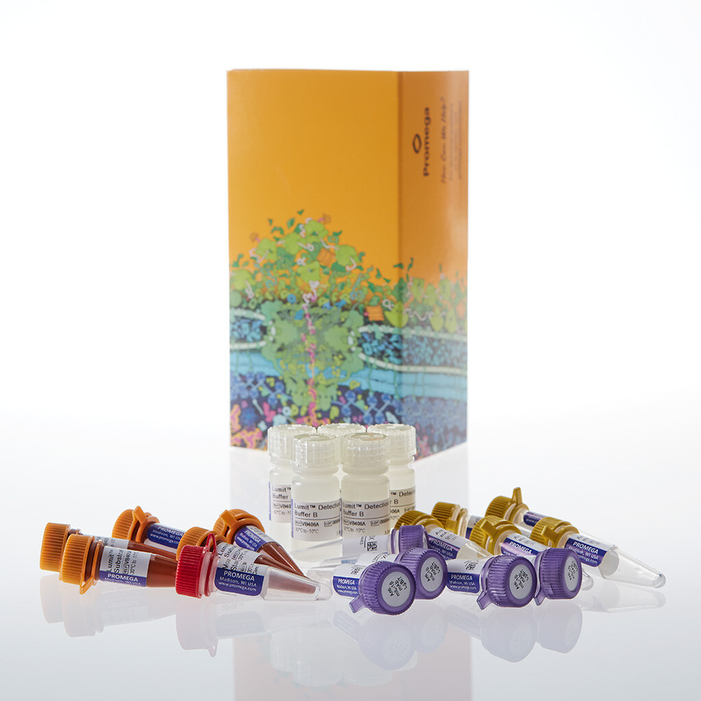 Lumit Mouse IL-1beta Immunoassay 5 x 100 tests