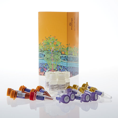 Lumit Mouse IL-1beta Immunoassay 5 x 100 tests