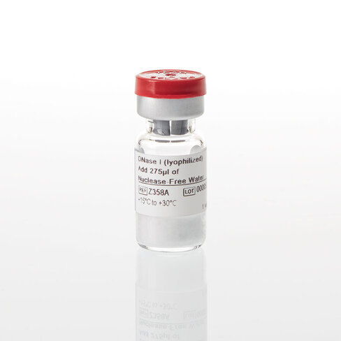 DNase I (lyophilized)