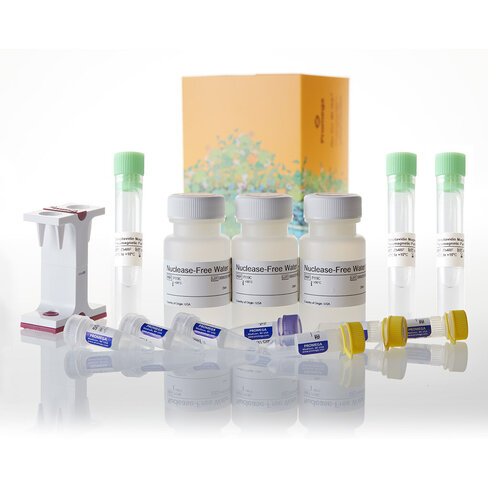 PolyATtract mRNA Isolation System II 3 isolations