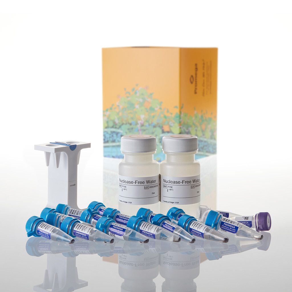 PolyATtract mRNA Isolation System III 15 isolations