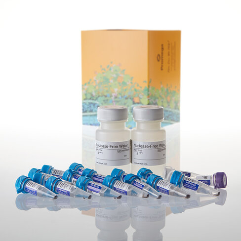 PolyATtract mRNA Isolation System IV 15 isolations